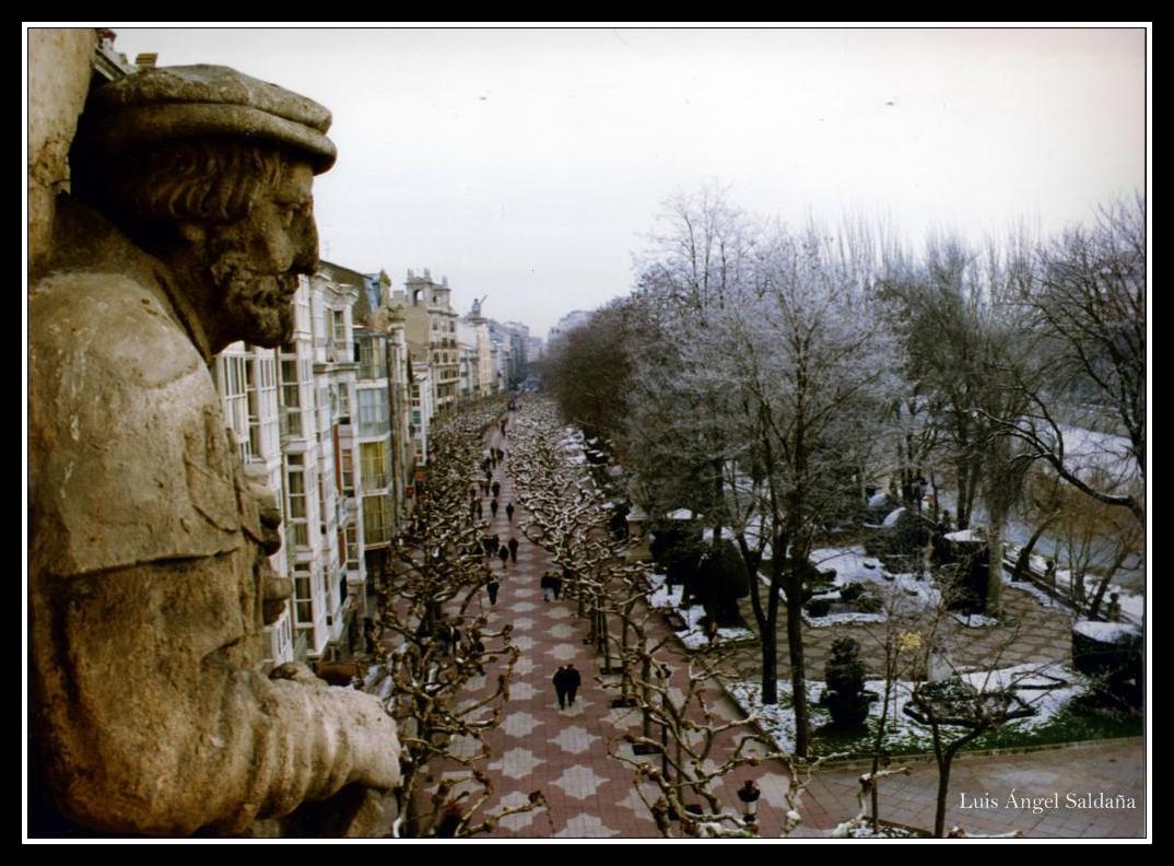 Paseo del Espolón desde el Arco Santa Maria ( Burgos)