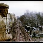 Paseo del Espolón desde el Arco Santa Maria ( Burgos)