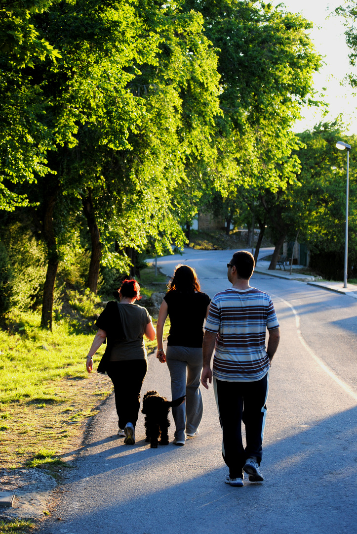 PASEO DIARIO