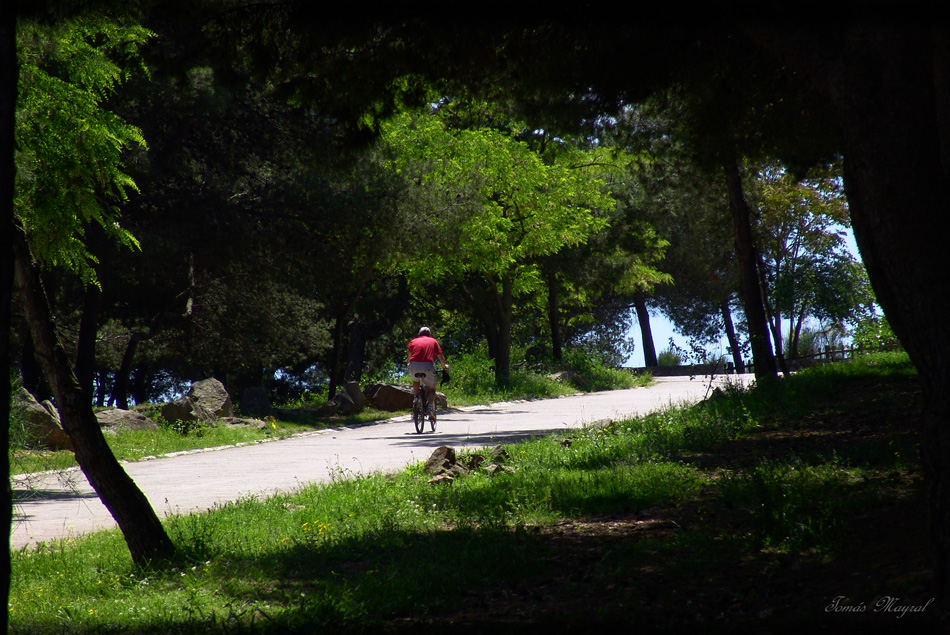 Paseo en Bici