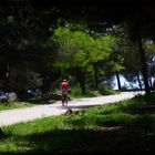 Paseo en Bici