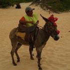 PASEO EN BURRO (Brasil 1)