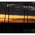 Paseo en el muelle 2