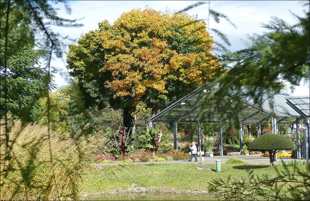 Paseo en el parque 