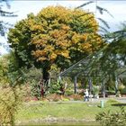 Paseo en el parque 