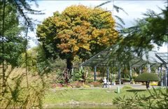 Paseo en el parque 