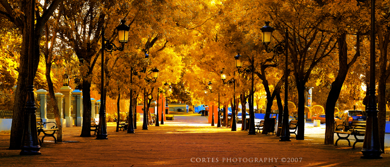 Paseo la Princesa