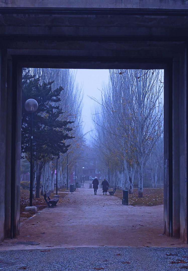 Paseo mañanero, a pesar de la niebla