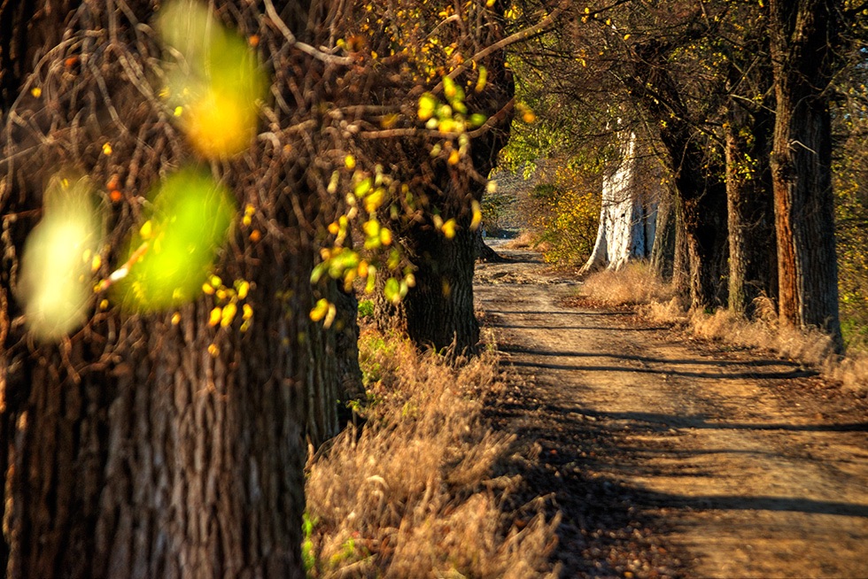 Paseo matutino