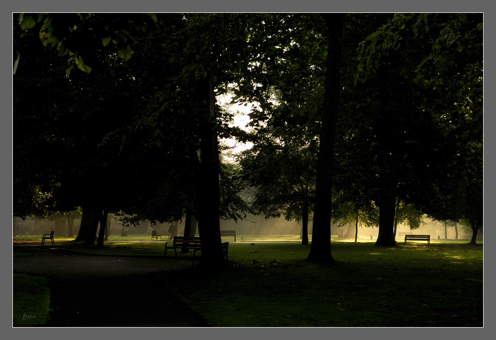 Paseo matutino por el parque