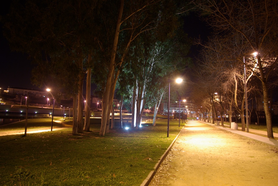 Paseo nocturno