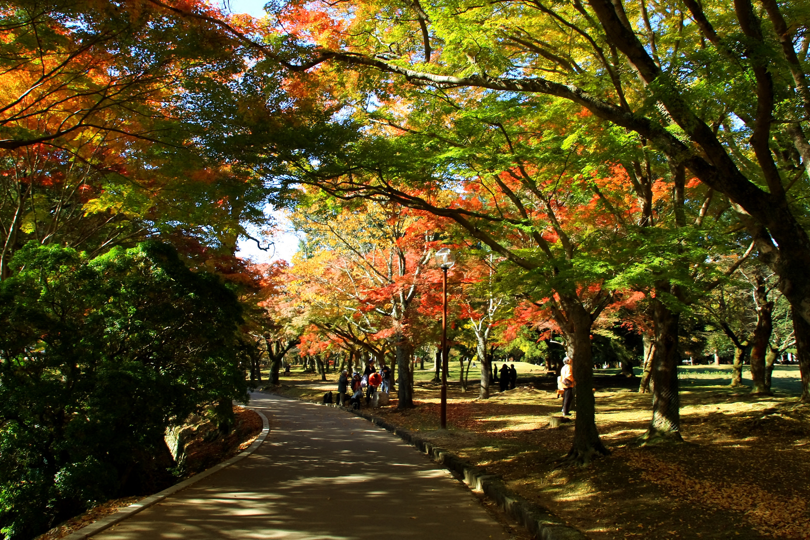 PASEO OTOÑAL