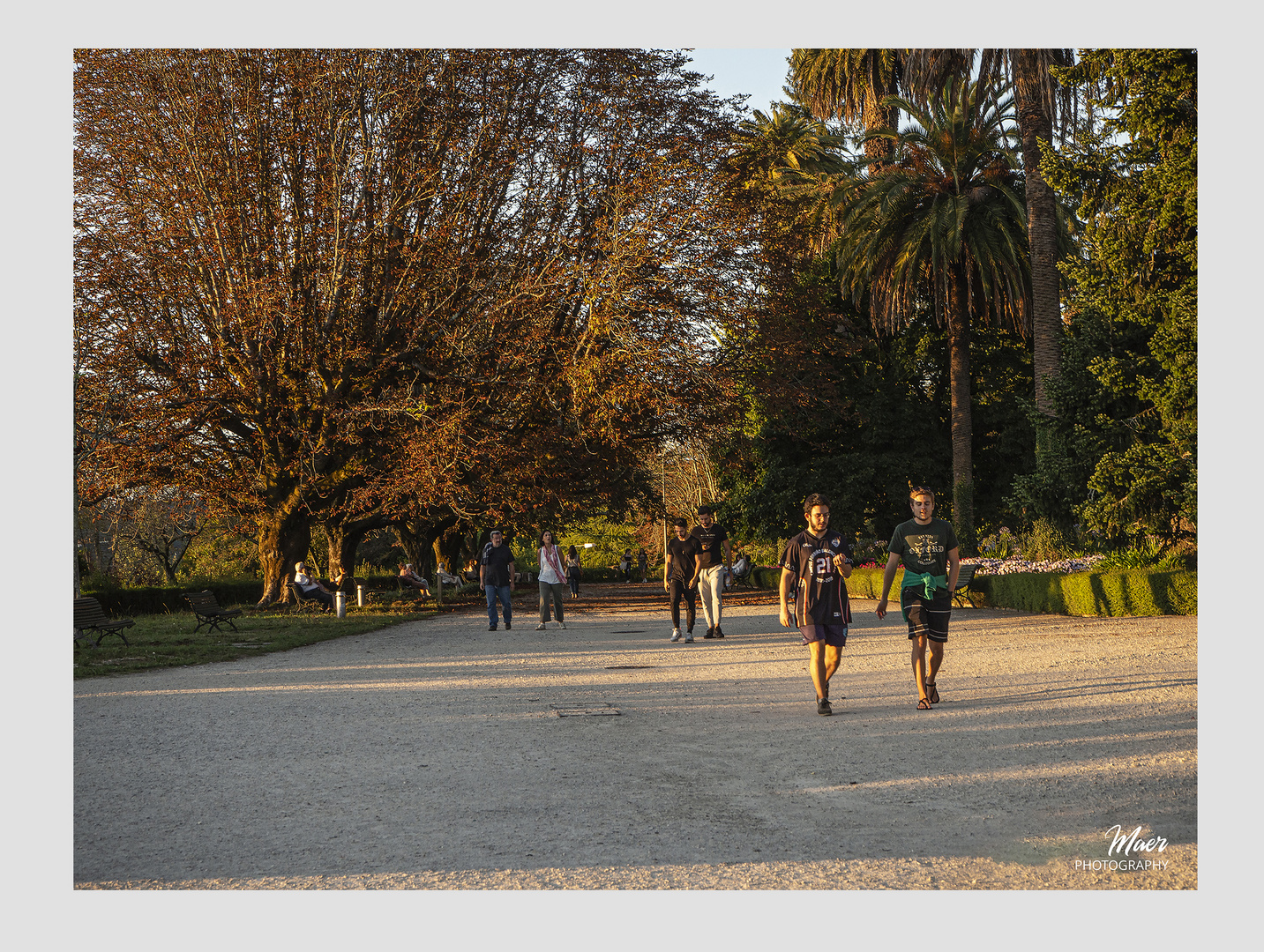 Paseo otoñal.