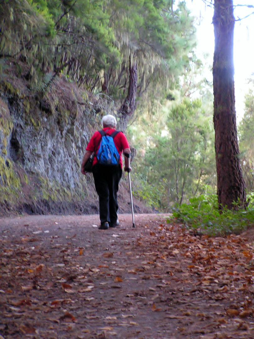 Paseo Otoñal