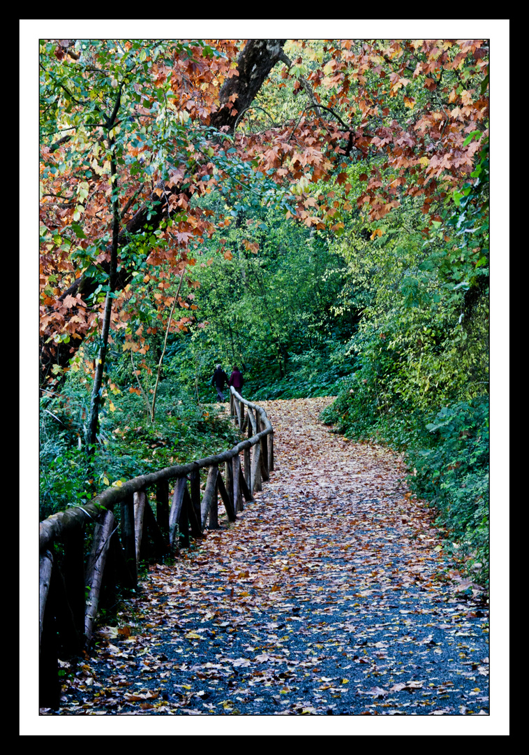 Paseo otoñal