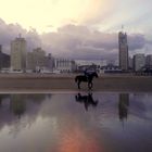 PASEO OTOÑAL,A CABALLO