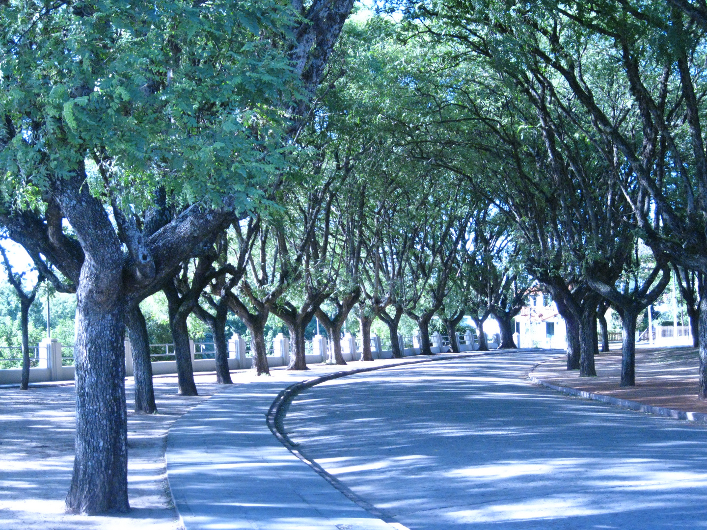 Paseo peatonal, San Pedro, Buenos Aires, Argentina