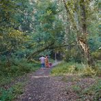 Paseo por el bosque