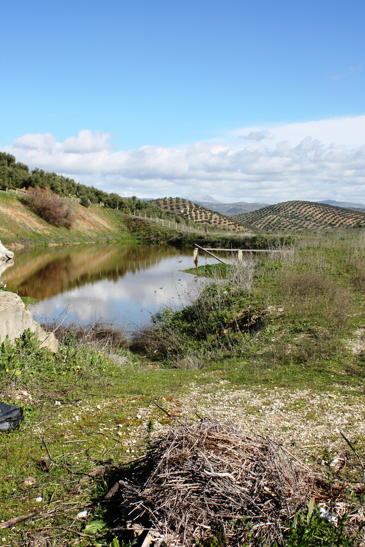 paseo por el campo