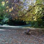 paseo por el campo grande en otoño