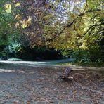 paseo por el campo grande en otoño