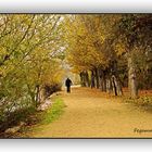 Paseo por el Duero. Zamora