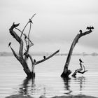 PASEO POR EL LAGO...VALENCIA, VENEZUELA