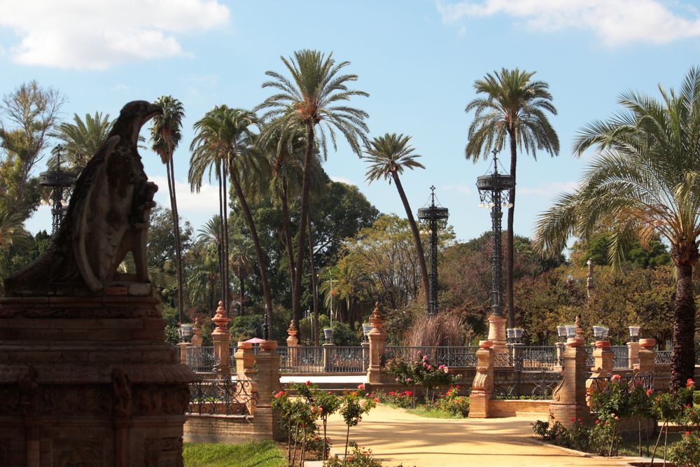 paseo por el parque en octubre, increíbles temperaturas