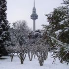 Paseo por el Parque nevado.....