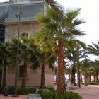 Paseo por el puerto de Cartagena