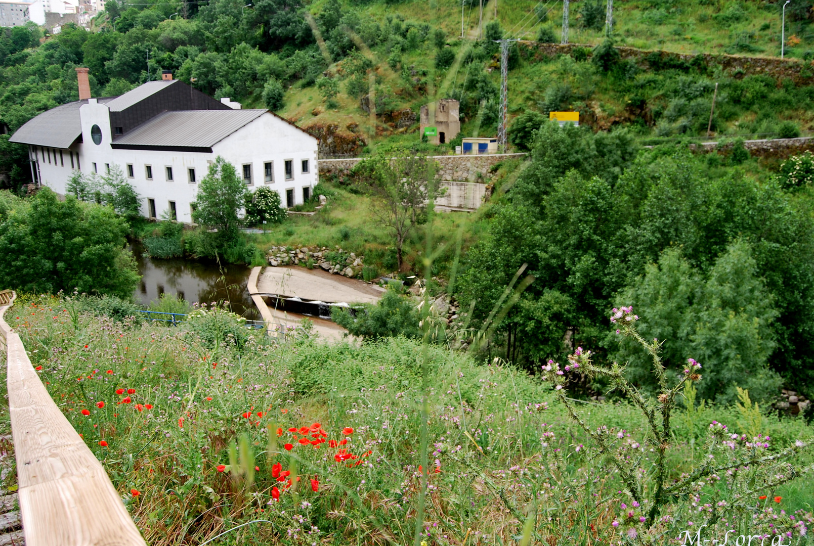 paseo por el rio