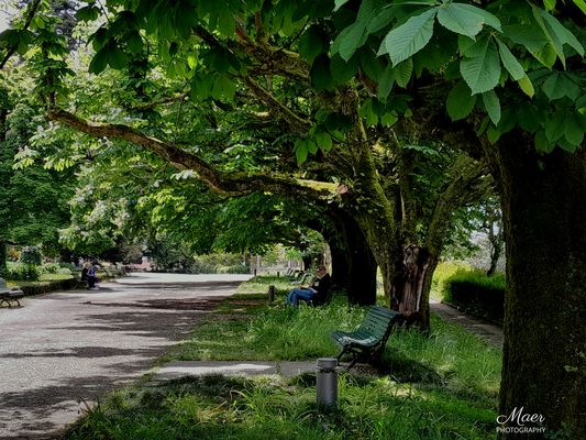 Paseo por La Alameda.