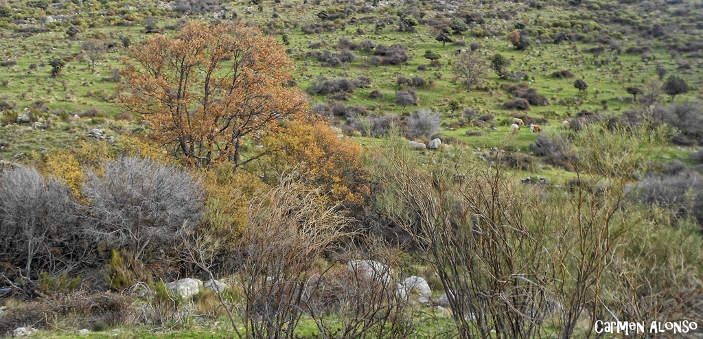 Paseo por la Hoya