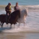 PASEO POR LA PLAYA