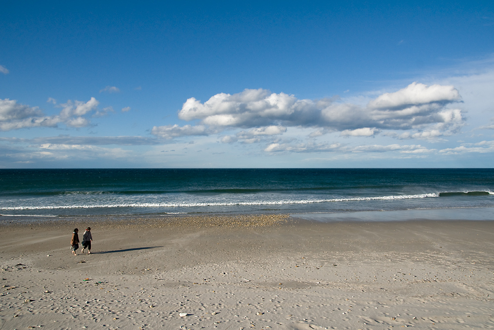 Paseo por la playa (II)