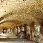 paseo por las ruinas del castillo Ujazd