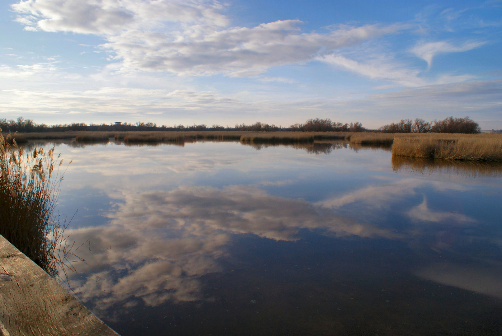 paseo por las tablas de daimiel 3