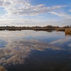 paseo por las tablas de daimiel 3