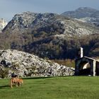 Paseo por Los Lagos de Covadonga