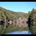 Paseo por Navacerrada ·