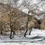 Paseo relajante