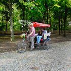 PASEO ROMANTICO