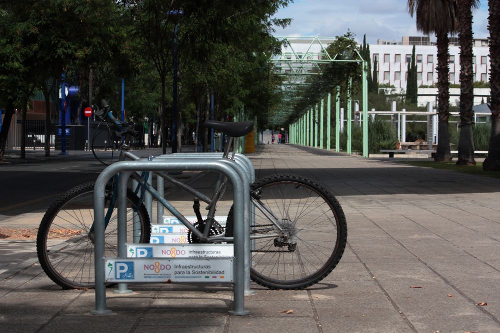 paseo sin bici