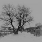 Paseos de invierno.