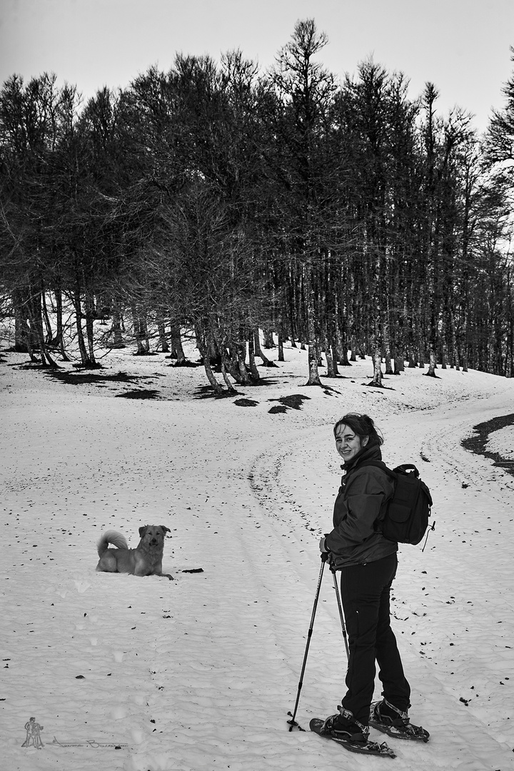 Paseos invernales II