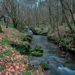 Paseos junto el riachuelo.