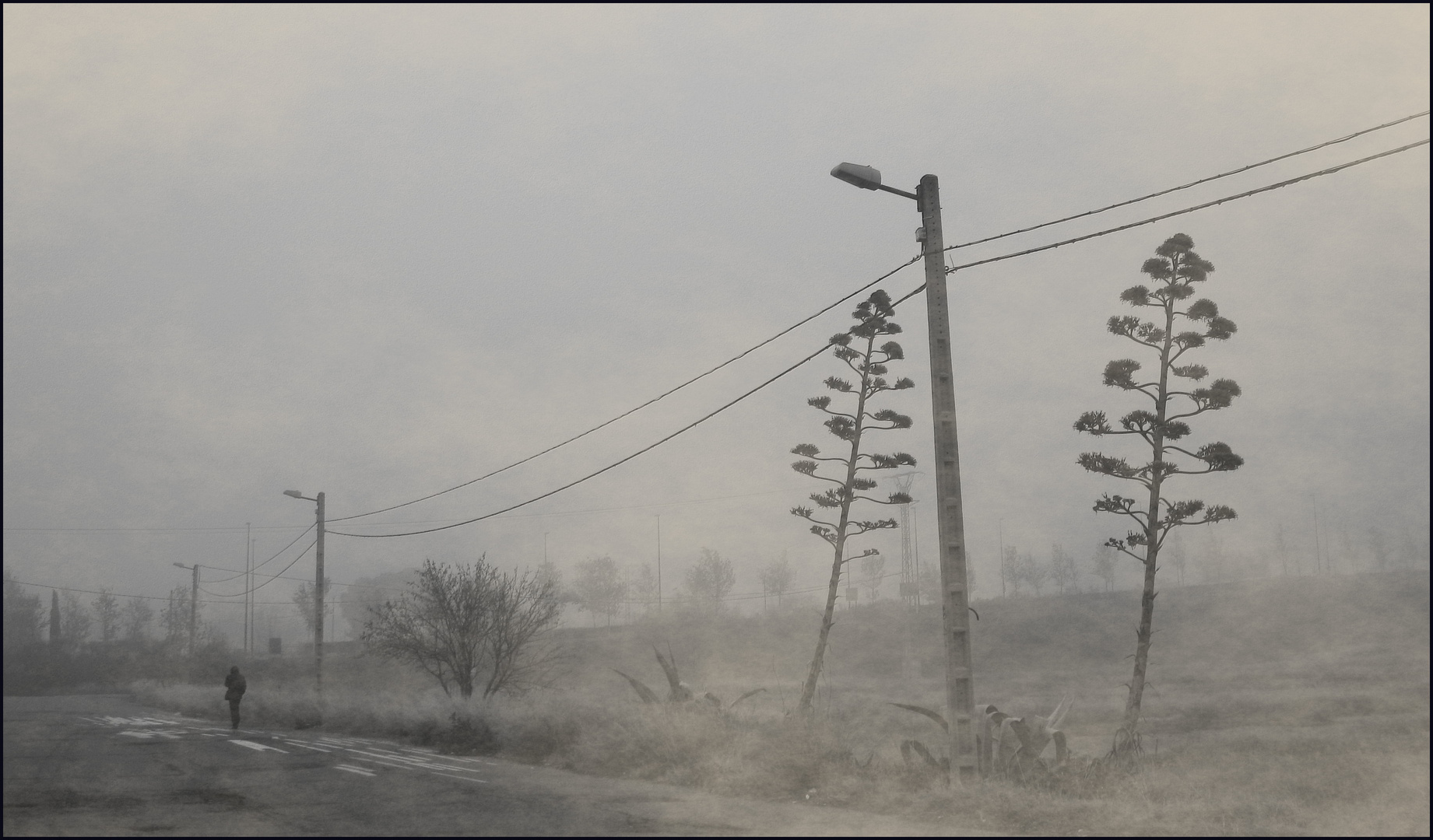 paseos por el campo........................