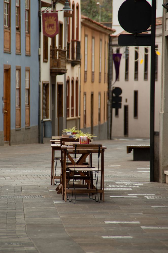 Paseos por La Laguna