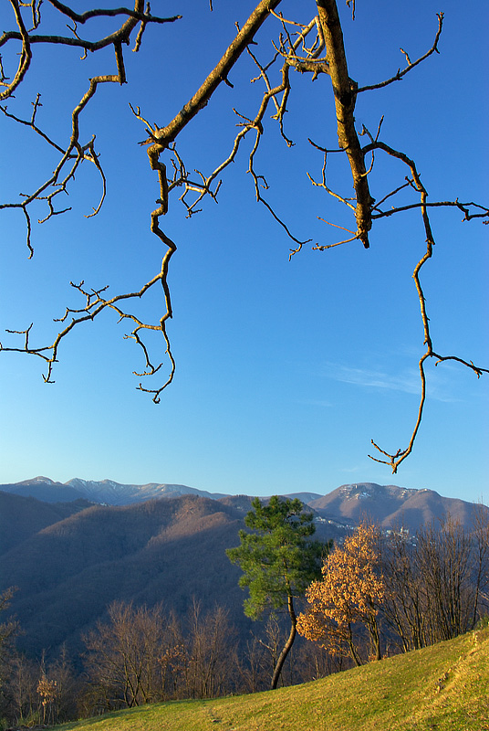 Pasesaggio di campagna