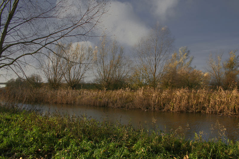 Pasewalk - Herbst an der Uecker (1)